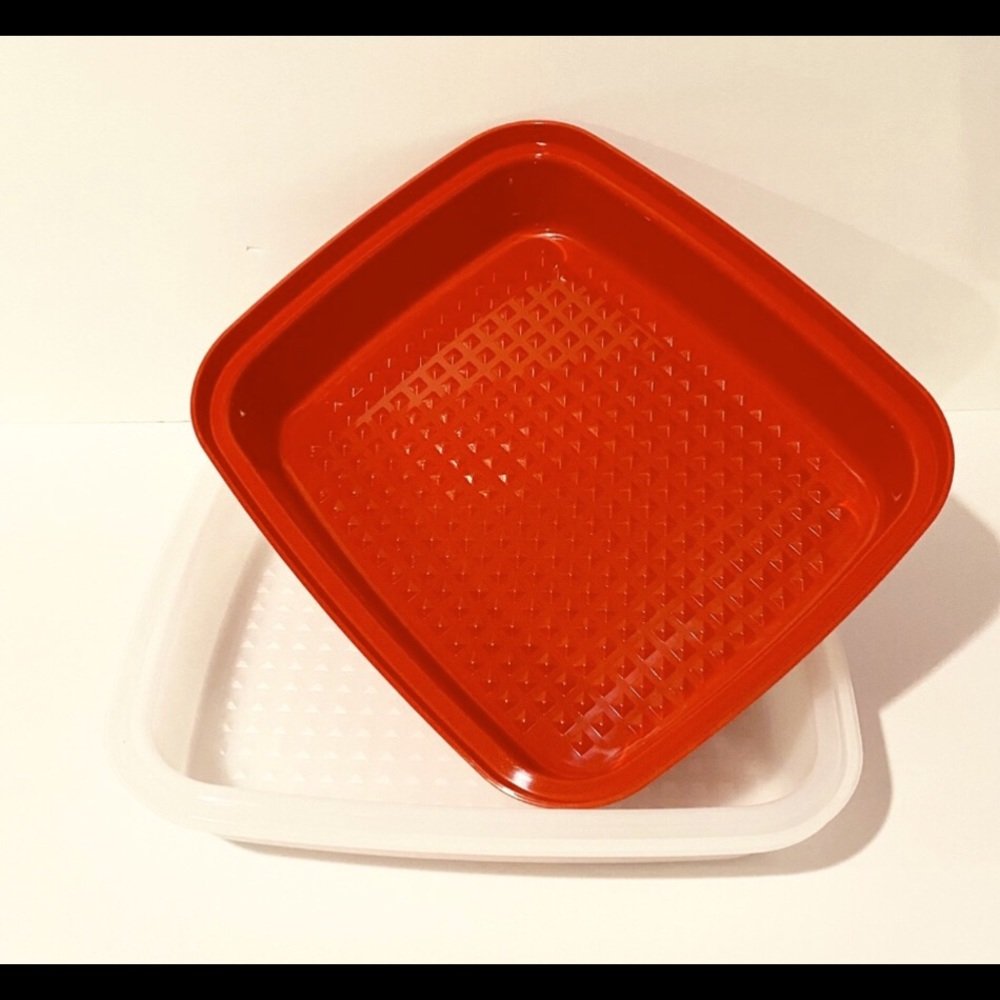 Tupperware Season Serve, NEW